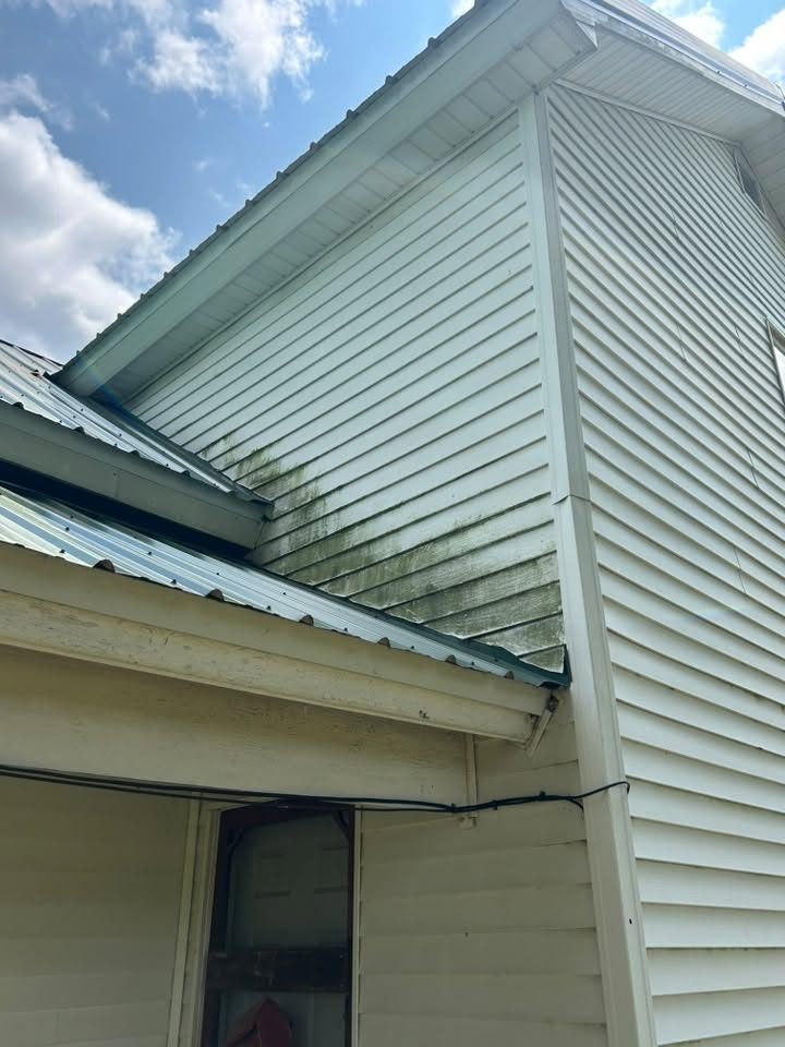 Gable end siding above a metal porch roof with heavy green growth