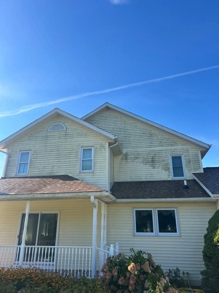 Upper storey siding covered in green and black algae streaking before house washing